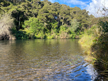 Turangi Fishing Report 19 September 2025
