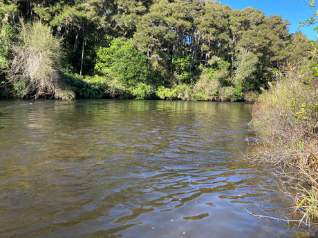 Turangi Fishing Report 01June 2023
