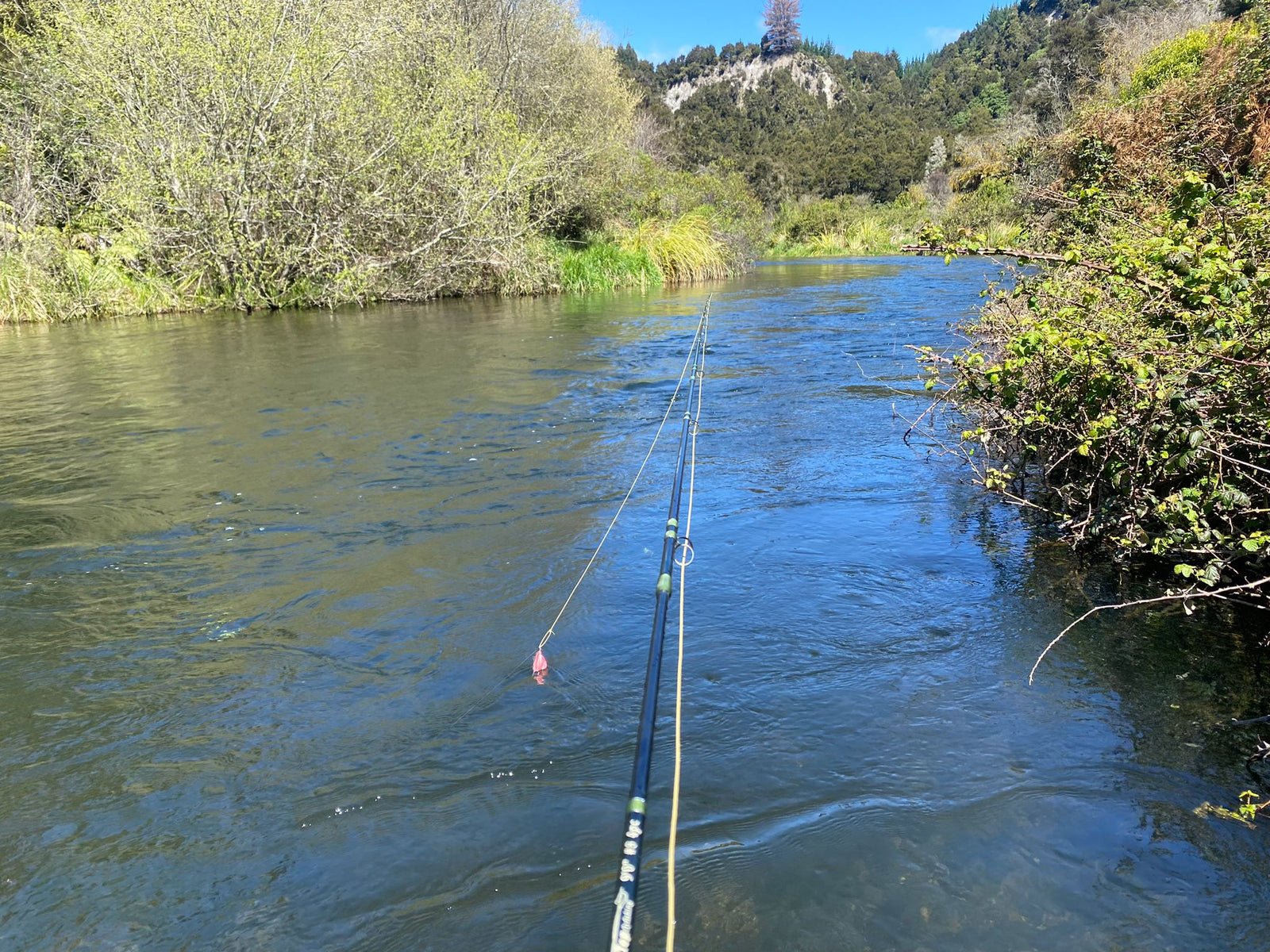 Turangi Fishing Report 17 October 2024