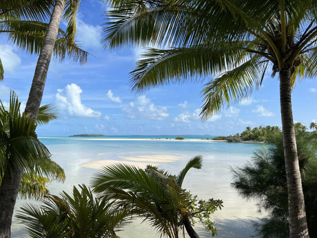 Fly Fishing Aitutaki