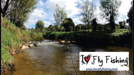 Kaniwhaniwha Stream down the Karamu walkway below the lime works, in 360° video.