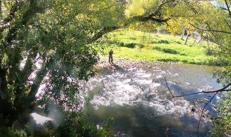 Fishing A King Country Stream.