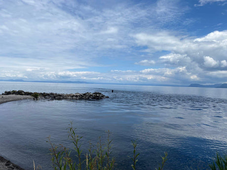 Turangi Fishing Report 27 January 2023