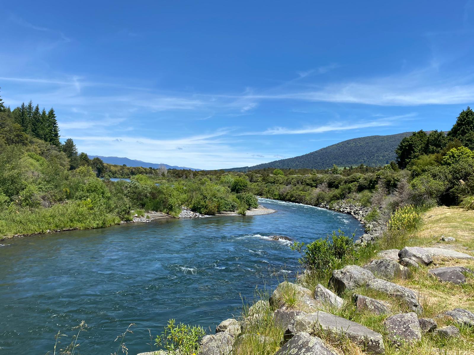 Turangi Fishing Report 9 December 2022