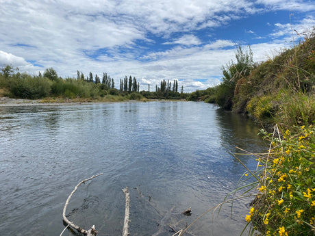 Turangi Fishing Report 23 January 2025