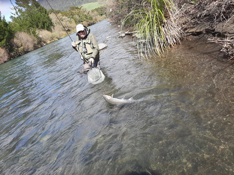 Turangi Fishing Report 05 October 2023