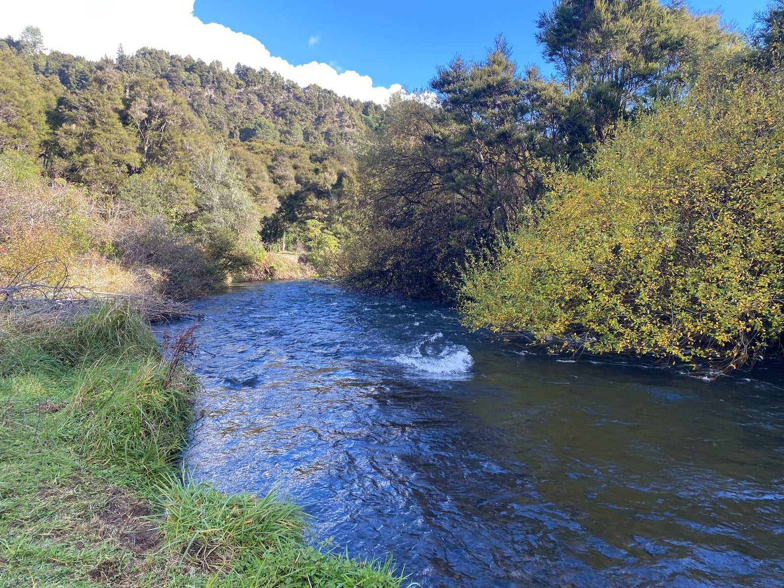Turangi Fishing Report 28 May 2025