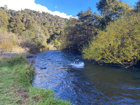 Turangi Fishing Report 28 May 2025