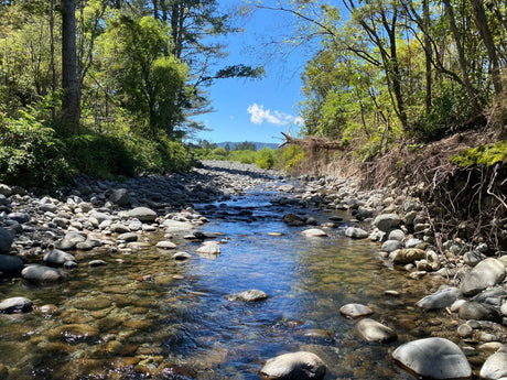 Turangi Fishing Report 30 December 2022