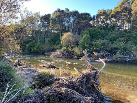 Turangi Fishing Report 06 June 2024