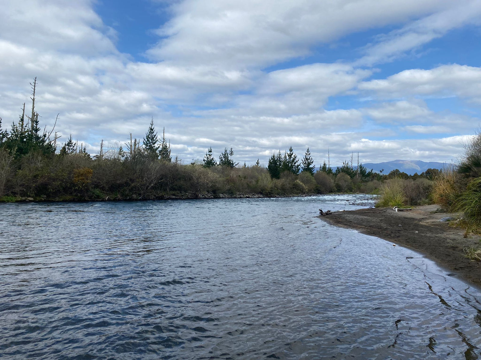 Turangi Fishing Report 03 October 2024