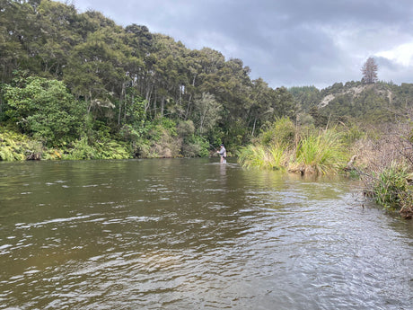 Turangi Fishing Report 19 September 2024