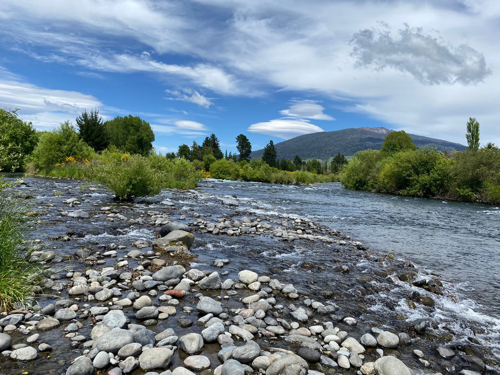 Turangi Fishing Report 17 November 2023