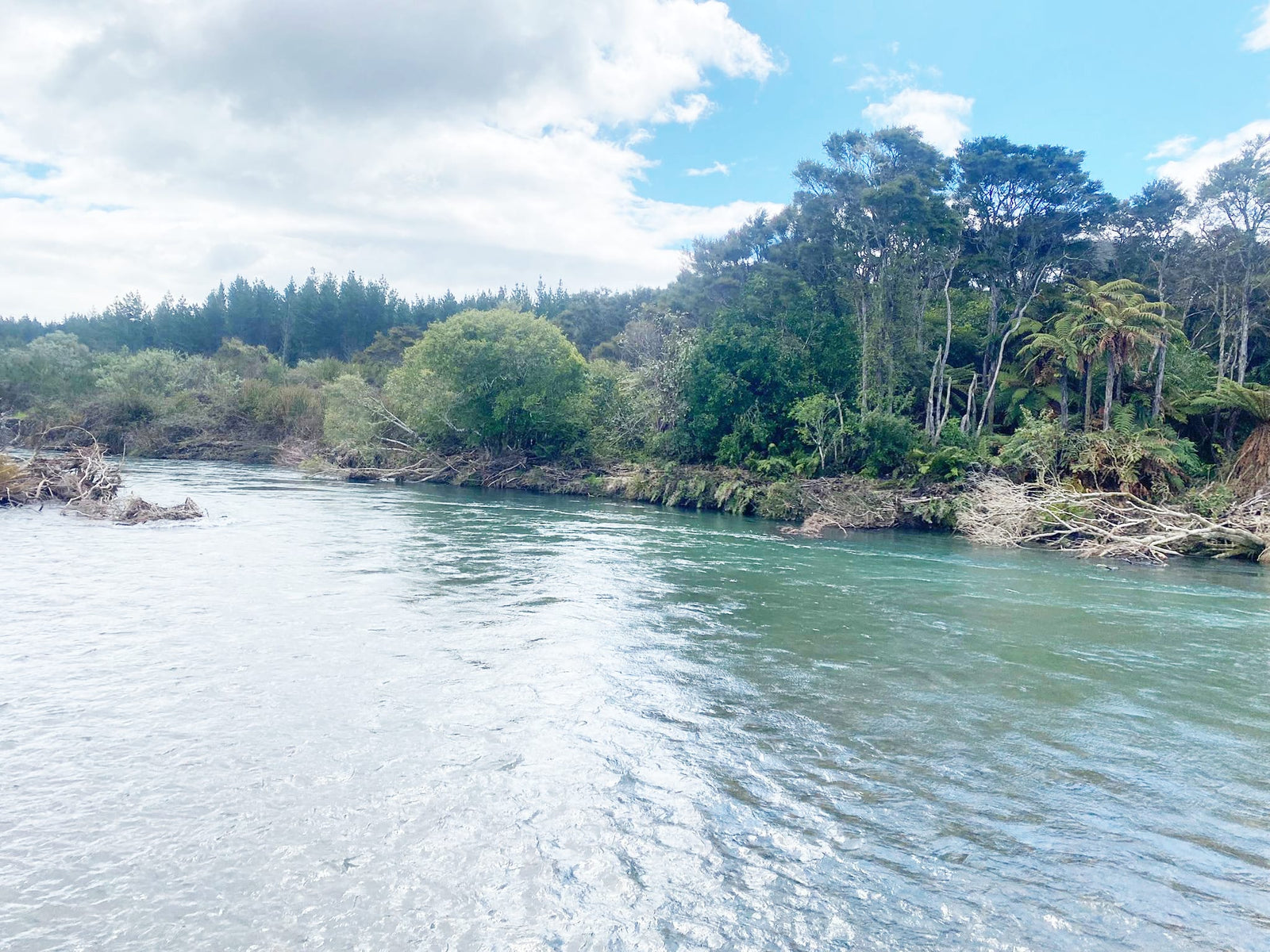 Turangi Fishing Report 09 October 2025