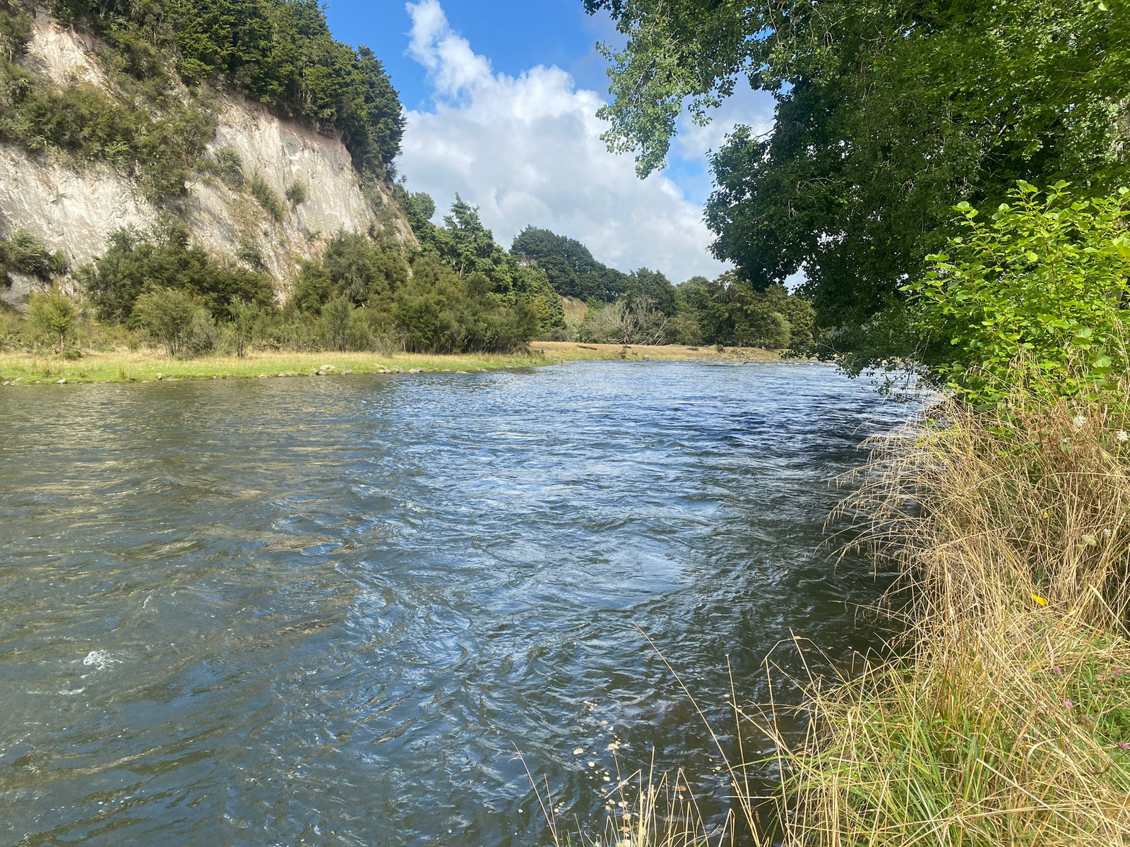 Turangi Fishing Report 21 February 2025