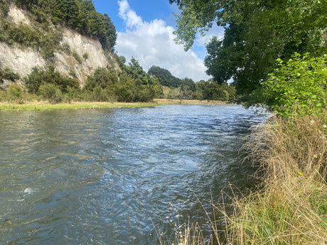 Turangi Fishing Report 21 February 2025