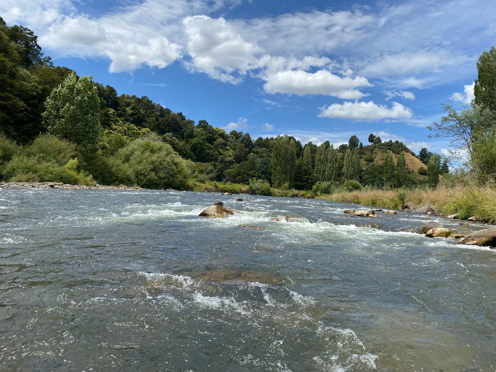 Turangi Fishing Report 30 January 2025