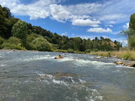 Turangi Fishing Report 30 January 2025