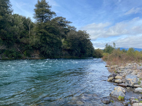 Turangi Fishing Report 09May 2023