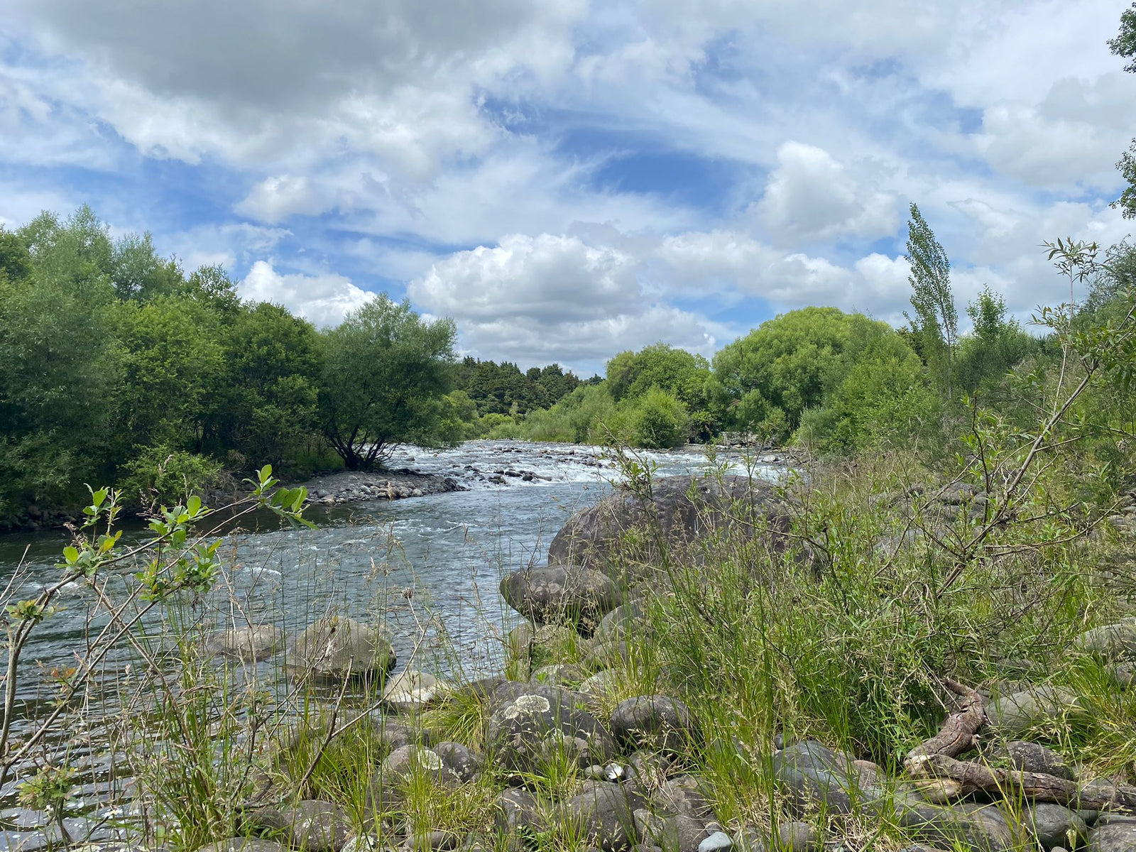 Turangi Fishing Report 14 December 2023