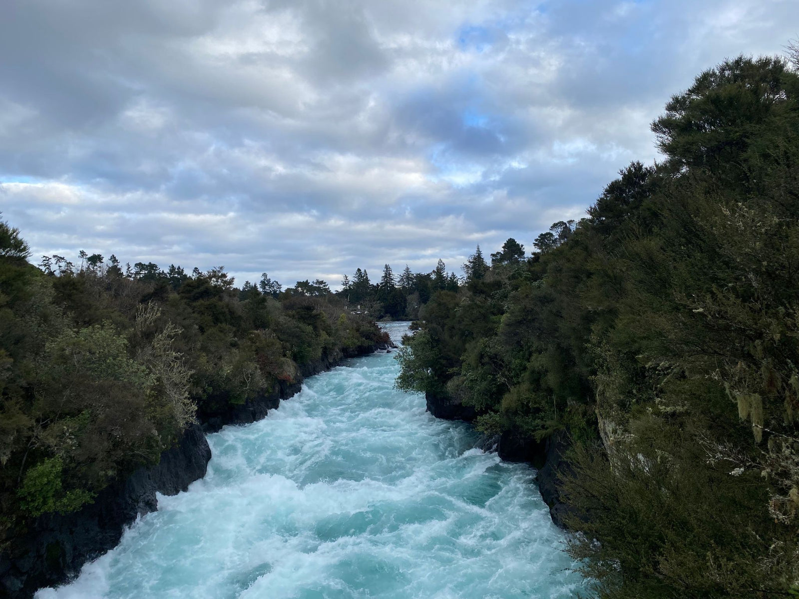 Turangi Fishing Report 22June 2023