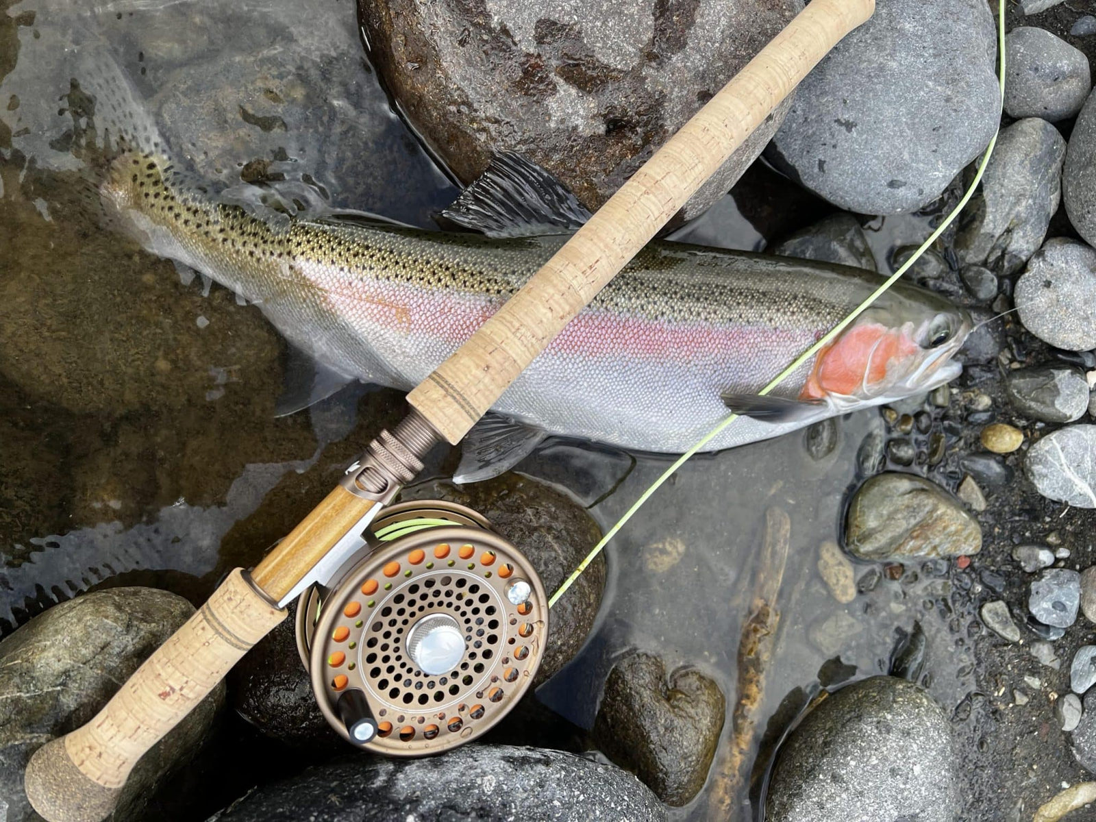 Turangi Fishing Report 21 September 2023