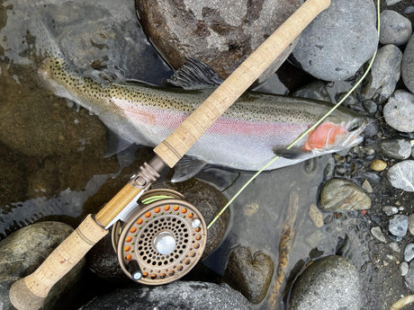 Turangi Fishing Report 21 September 2023