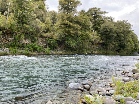 Turangi Fishing Report 16 December 2022