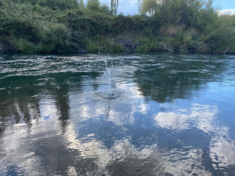 Turangi Fishing Report 14 February 2025