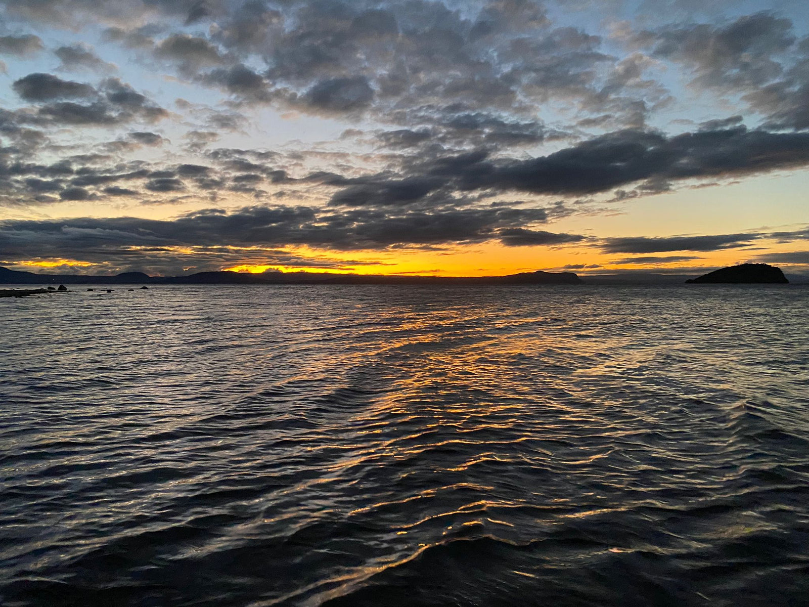 Turangi Fishing Report 31 May 2024