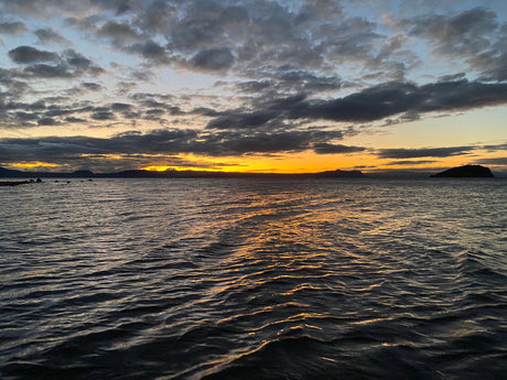 Turangi Fishing Report 31 May 2024