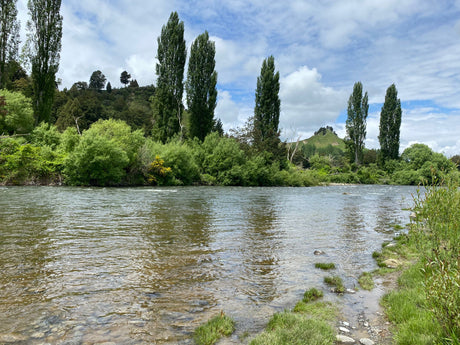 Turangi Fishing Report 10 November 2022