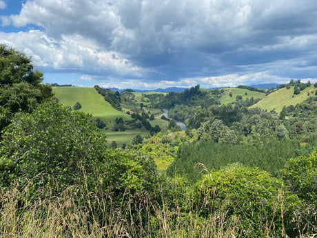 Turangi Fishing Report 20 January 2023