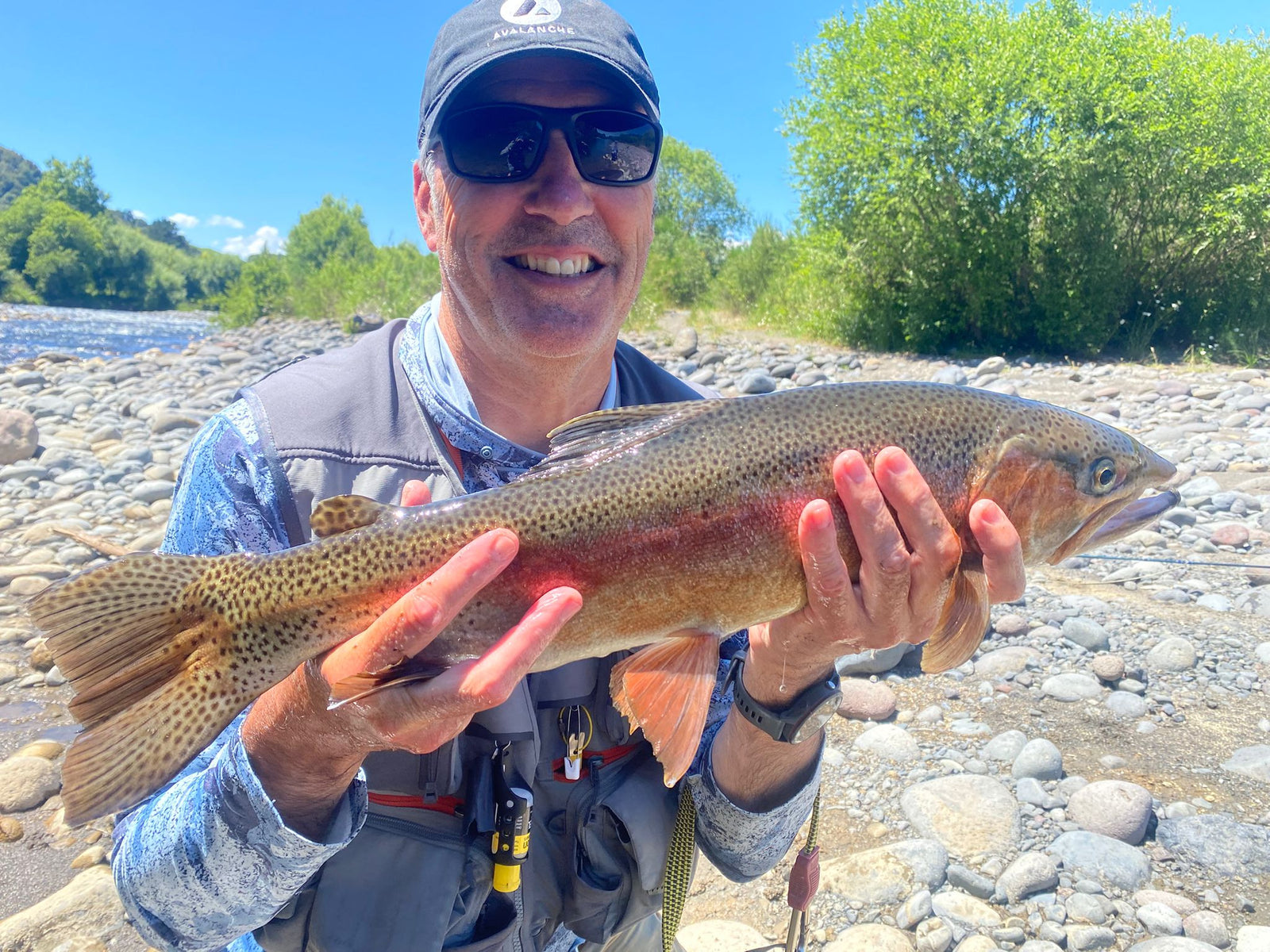 Lovely north island rainbow trout and angler