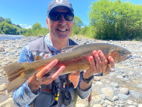 Lovely north island rainbow trout and angler