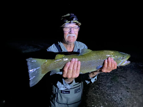 Taupo brown trout caught at stream mouths at night