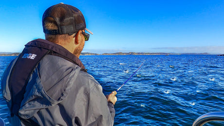 Fly Fishing for Surface Feeding Kahawai