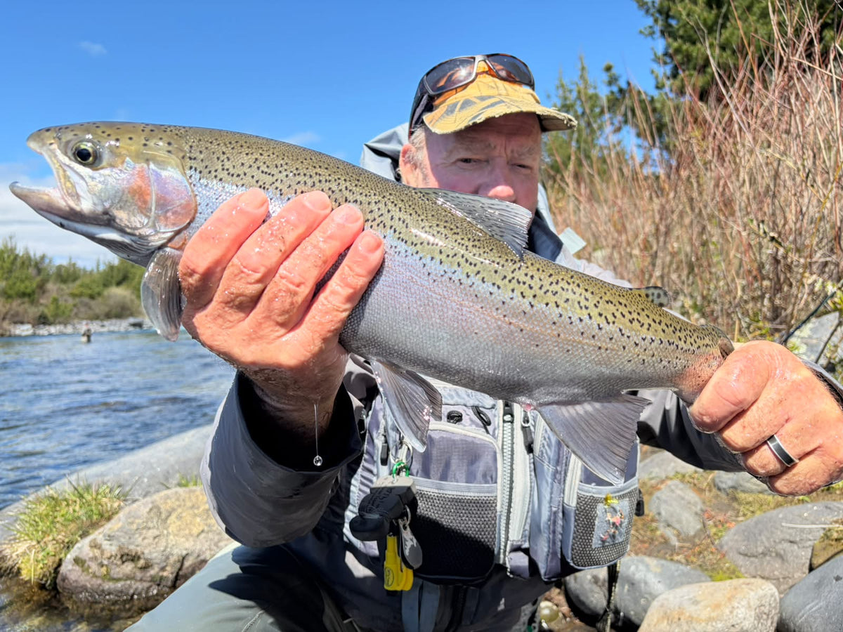 Turangi Fishing Report 1 October 2026 - by Brian Willson