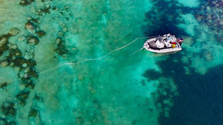 Fly Fishing for Shallow Water Snapper