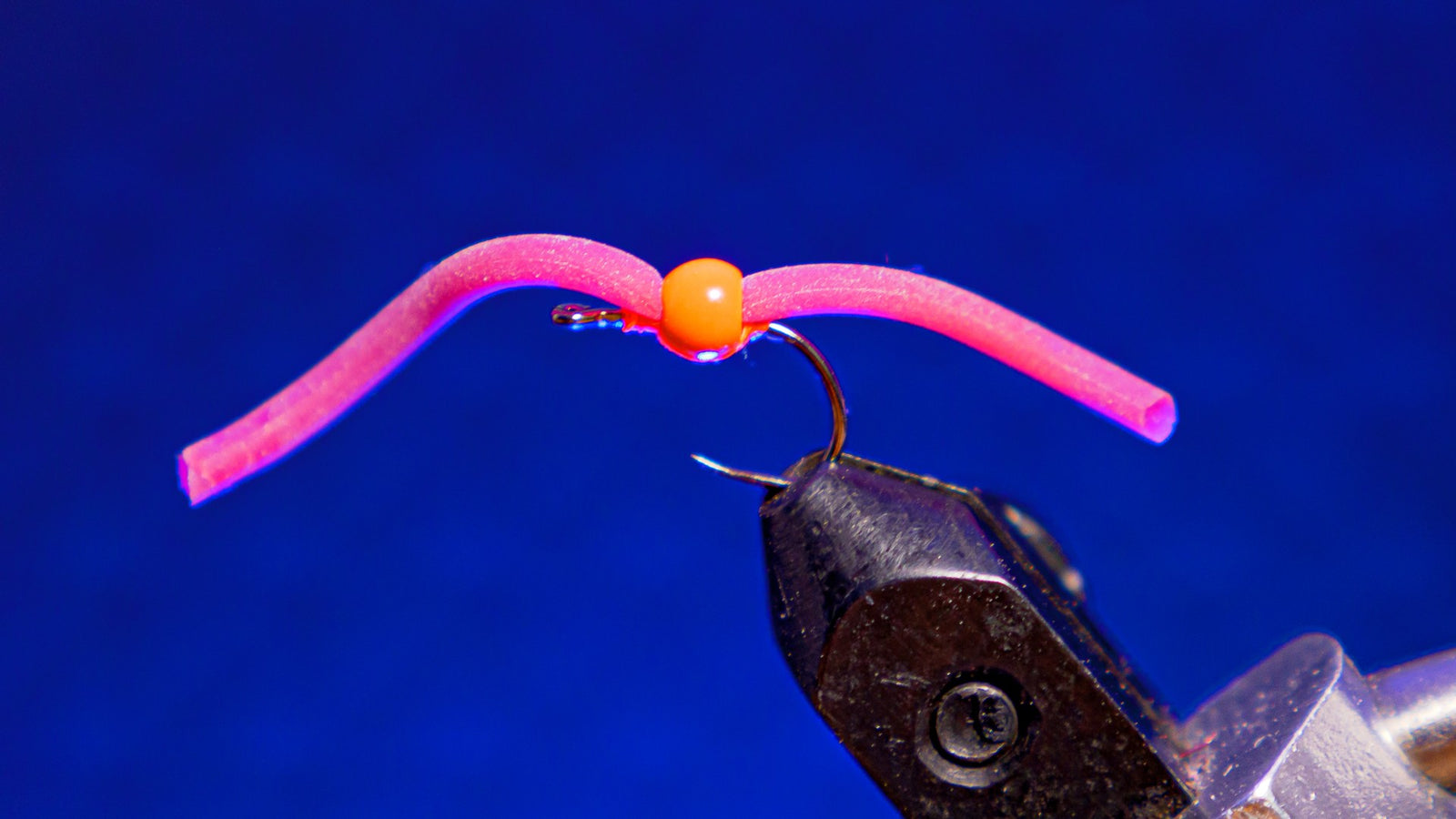 The Squirmy Worm