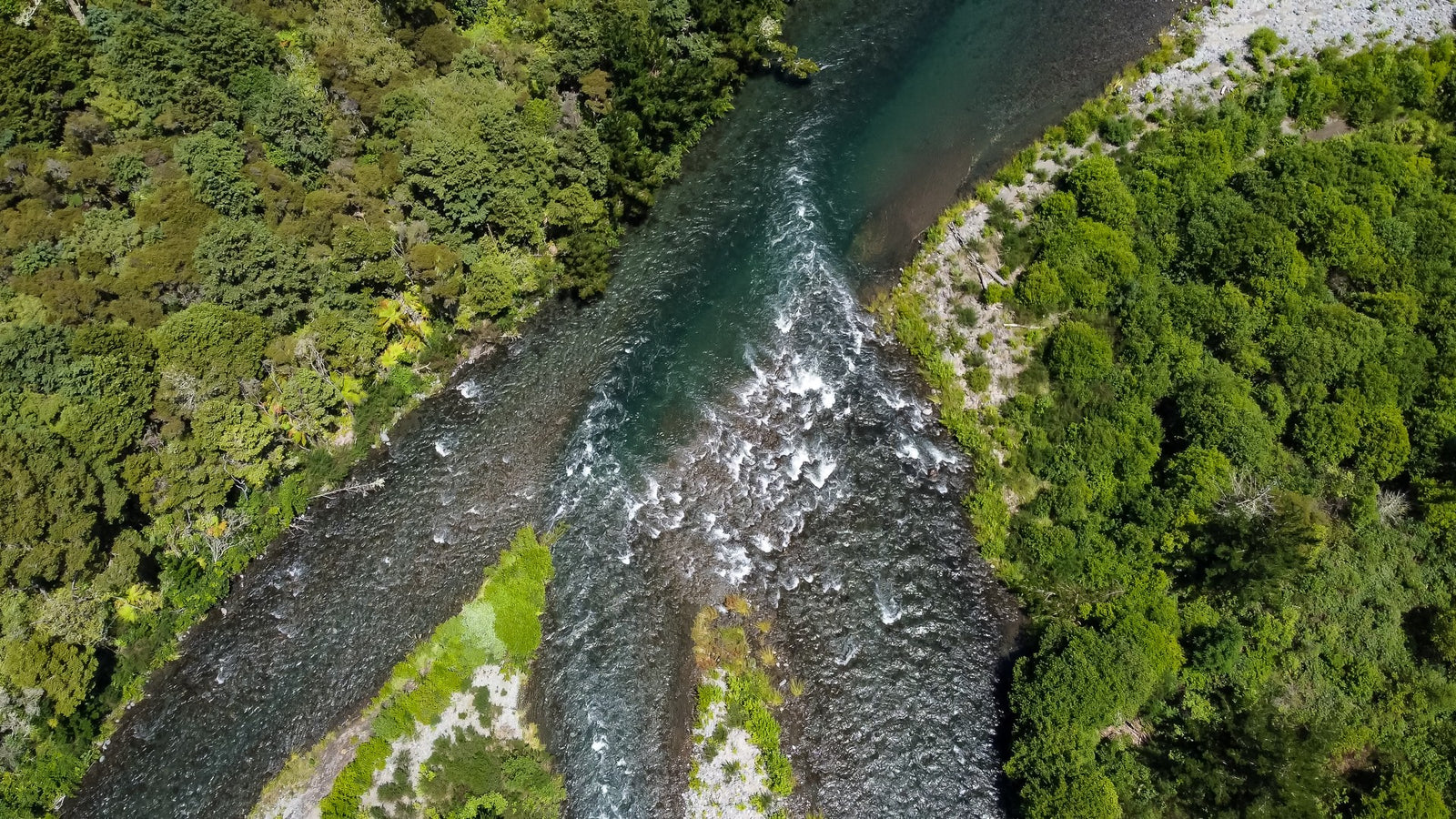 Summer Fly Fishing on the Tongariro River