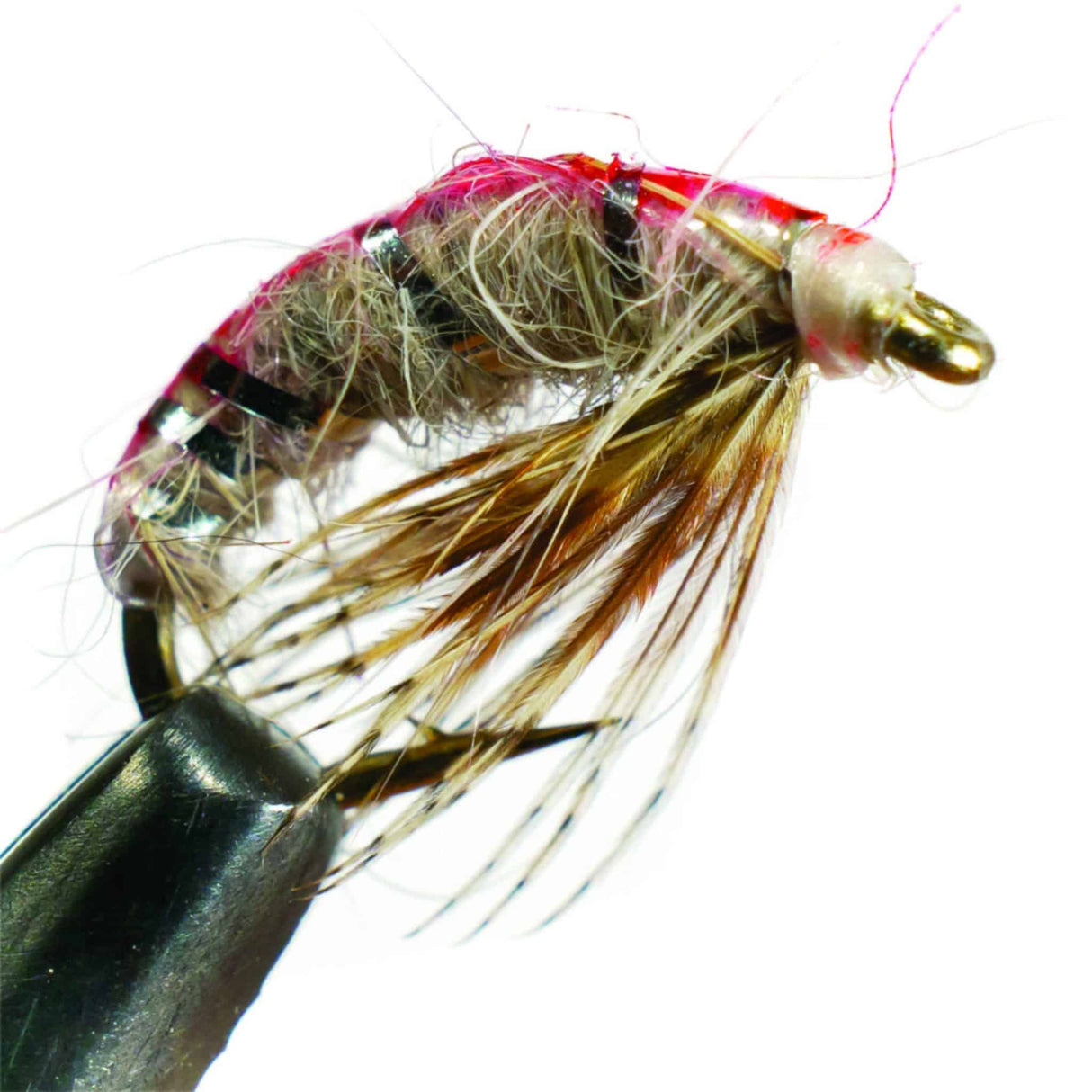 Scud Fly