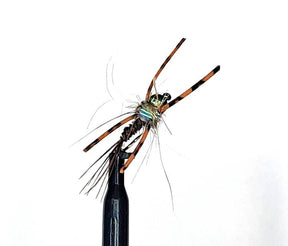 BHN852