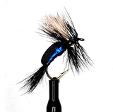 Blowfly Blue B