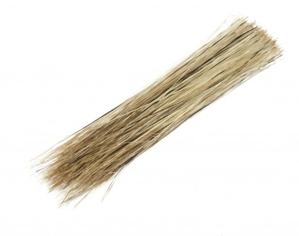 Boar Bristles