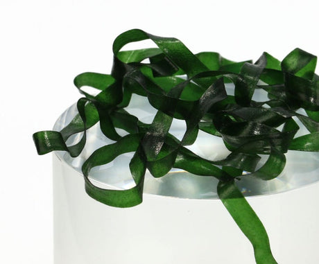 Body Stretch (Bug Back) - 251134 Dark Green