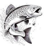 Brook Trout Leaping Image 1