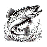 Brown Trout Leaping Image 1