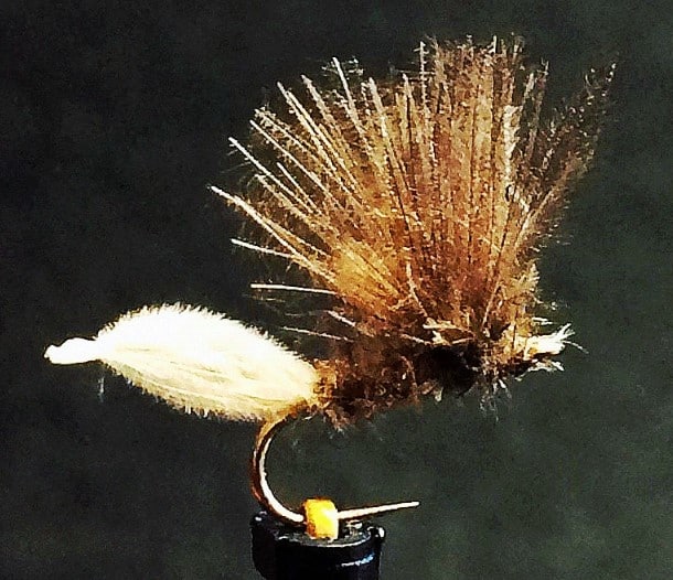 CDC Puff Fly