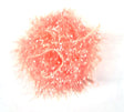 Chenille Fritz Jelly 2m Fluro Salmon